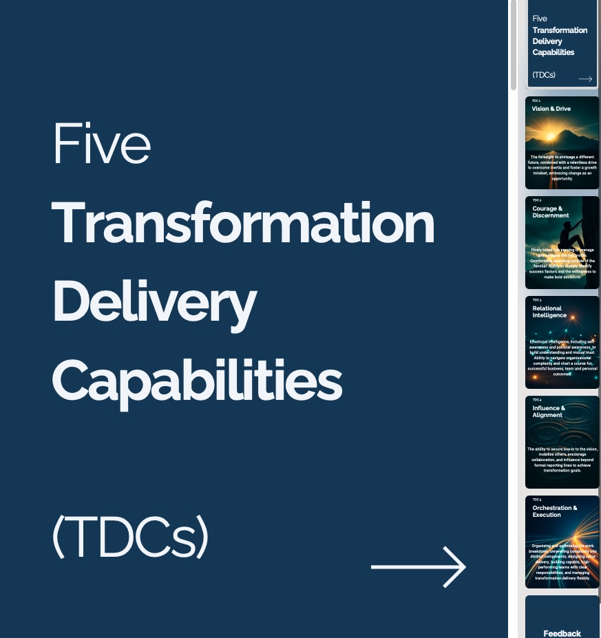 Transformation Delivery Capabilities visual